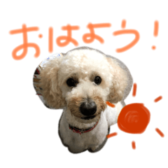 [LINEスタンプ] ハラダロンくん