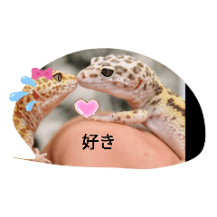 [LINEスタンプ] カワイイトカゲ 爬虫類
