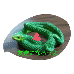 [LINEスタンプ] 爬虫類 両生類 スタンプ