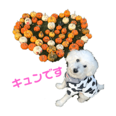 [LINEスタンプ] 毎日使えるぷぷくんすたんぷ