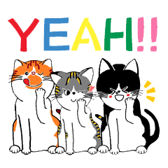 [LINEスタンプ] 我が家の猫さんスタンプ