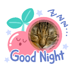 [LINEスタンプ] メルメル子