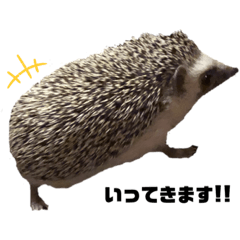 [LINEスタンプ] ハリネズミのちくわ