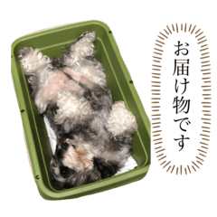 [LINEスタンプ] すごくかわいいおデブ