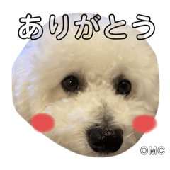 [LINEスタンプ] ビションフリーゼもちもち3