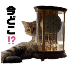 [LINEスタンプ] うらら＆おと スタンプ