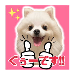 [LINEスタンプ] comaruくんの日常②