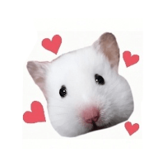 [LINEスタンプ] しろいカルちゃん