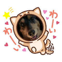 [LINEスタンプ] りっちスタンプ2