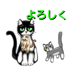 [LINEスタンプ] うちに出入りする野良猫たちの毎日2