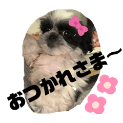 [LINEスタンプ] ちくわちゃぁん！