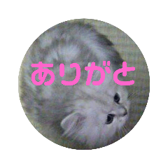 [LINEスタンプ] ライチくんのきもち