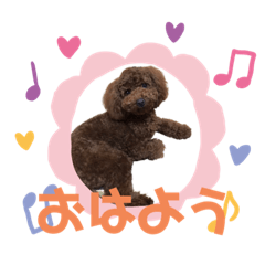 [LINEスタンプ] 12.ハル