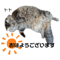 [LINEスタンプ] Dep 里親様スタンプ 猫ver③敬語版