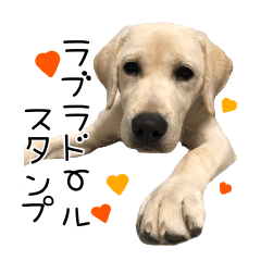 [LINEスタンプ] ラブラドール・レトリバー のんびり行こう