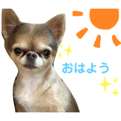 [LINEスタンプ] りぼん生活