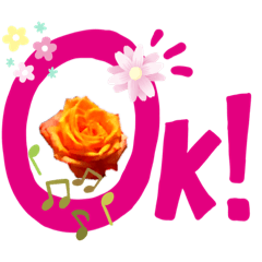 [LINEスタンプ] オレンジ色の薔薇