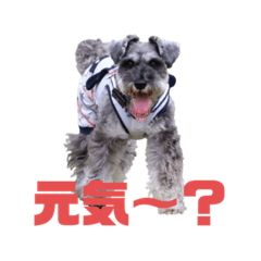 [LINEスタンプ] 13.Lek