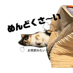 [LINEスタンプ] 2足歩行ギズモ