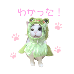 [LINEスタンプ] 愛しの桜羽花