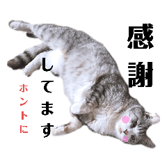 [LINEスタンプ] 拙者ごえもんなり