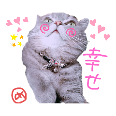 [LINEスタンプ] 猫 メンマです3