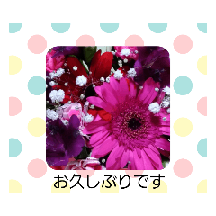 [LINEスタンプ] sticker flower 2