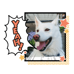 [LINEスタンプ] ジョイ＆プリン