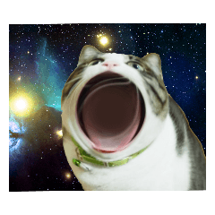 [LINEスタンプ] 大口猫の憂鬱