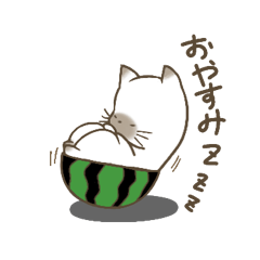 [LINEスタンプ] すいかぶるねこの日常@ぴたろ