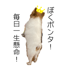 [LINEスタンプ] 塩谷ポンタの日常