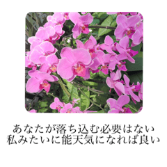 [LINEスタンプ] tetsugaku 写真 ①