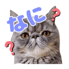 [LINEスタンプ] tororoスタンプ  大阪ちゃん
