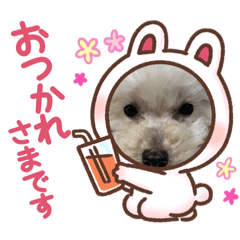 [LINEスタンプ] Mahalo②