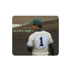 [LINEスタンプ] 野球の日