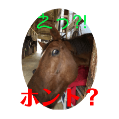 [LINEスタンプ] ドレッサーとその仲間たち☆その2
