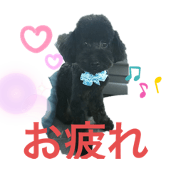 [LINEスタンプ] cocoのプーさん友達編①
