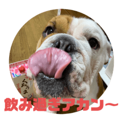 [LINEスタンプ] 大好き金太郎2