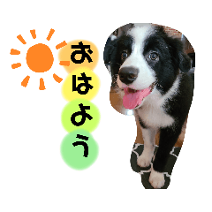 [LINEスタンプ] あるくのにちじょう①