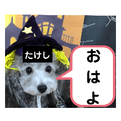 [LINEスタンプ] たけしのスタンプ 挨拶2