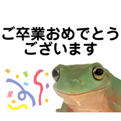 [LINEスタンプ] イエアメガエル 卒園 卒業式編