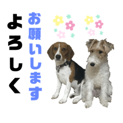 [LINEスタンプ] ギルとハンク