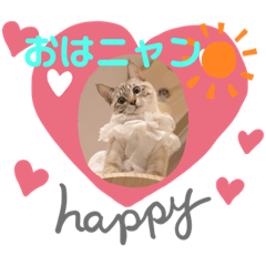 [LINEスタンプ] ローラちゃんとロイくん⑥