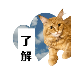 [LINEスタンプ] ほんのりおふざけあり、お返事猫スタンプ