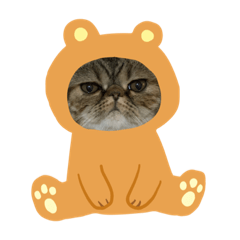 [LINEスタンプ] herme's diary 2