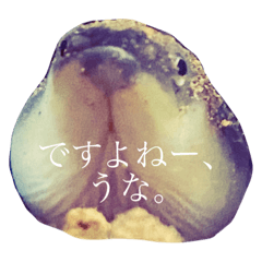 [LINEスタンプ] うなうな鰻のスタンプ