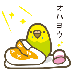 [LINEスタンプ] まるまるいんこさん