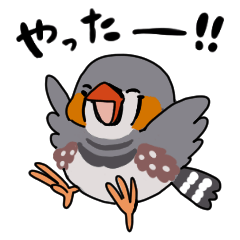 [LINEスタンプ] キンカチョウスタンプ