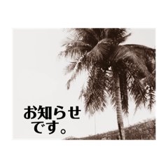 [LINEスタンプ] Lokahi＆Co.ロミロミセラピストスタンプ