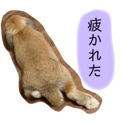 [LINEスタンプ] 政宗と茶々丸